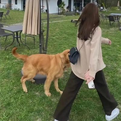 野蛮公主玩婚记